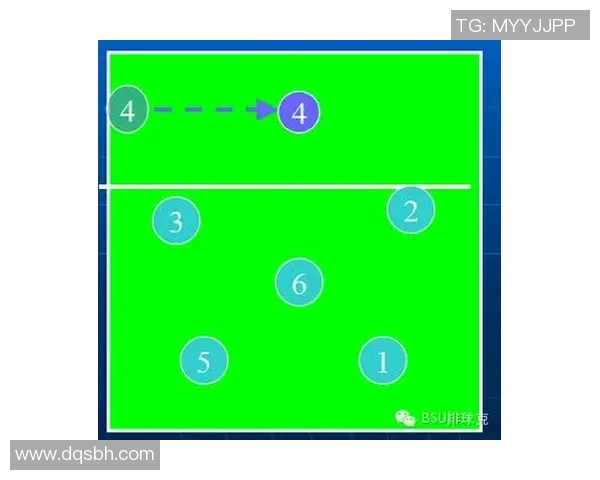 广州排球队节奏对比独家解析与战术分析探讨